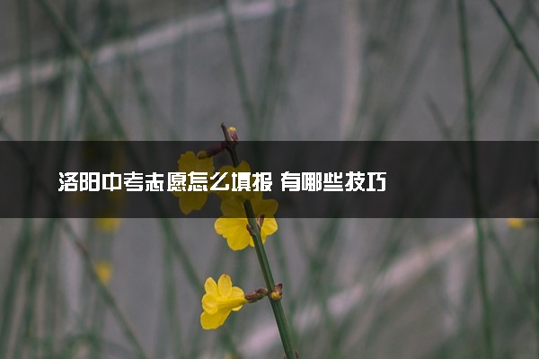 洛阳中考志愿怎么填报 有哪些技巧