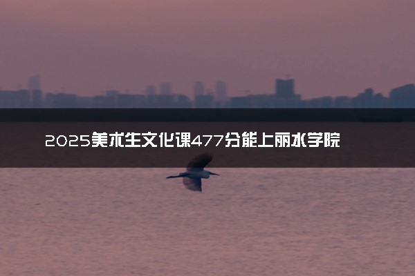 2025美术生文化课477分能上丽水学院吗
