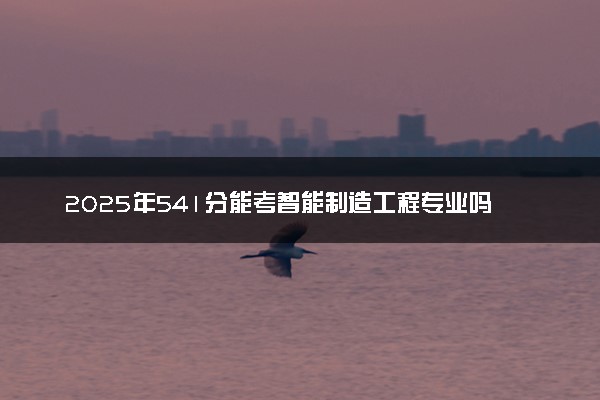 2025年541分能考智能制造工程专业吗 541分智能制造工程专业大学推荐