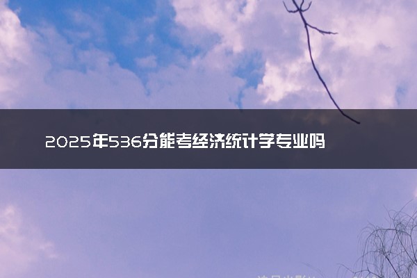 2025年536分能考经济统计学专业吗 536分经济统计学专业大学推荐