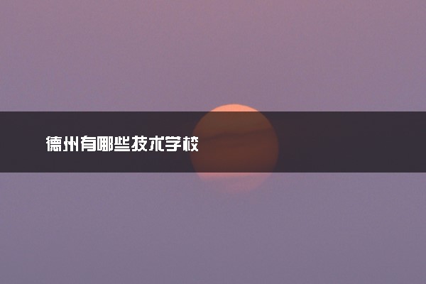 德州有哪些技术学校