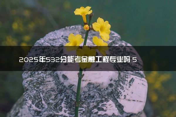 2025年532分能考金融工程专业吗 532分金融工程专业大学推荐