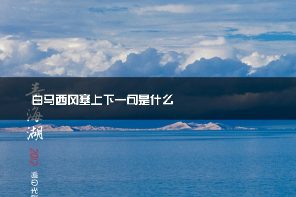 白马西风塞上下一句是什么