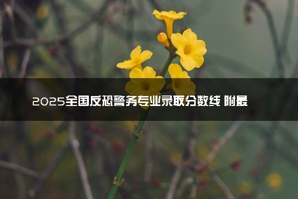 2025全国反恐警务专业录取分数线 附最好的大学排名
