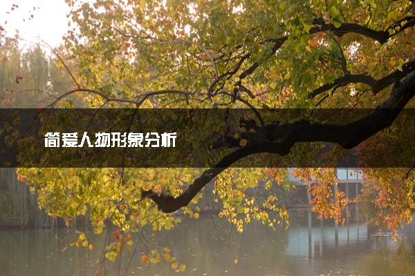 简爱人物形象分析