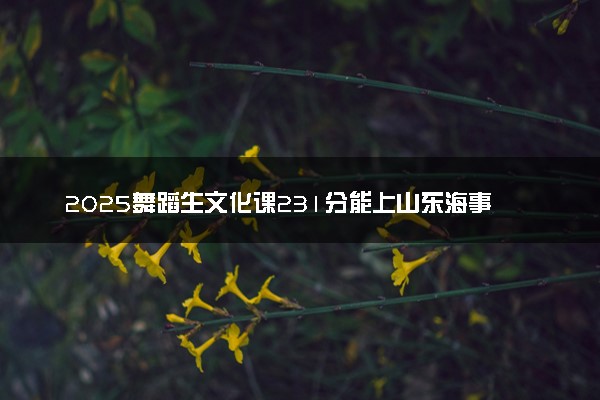 2025舞蹈生文化课231分能上山东海事职业学院吗