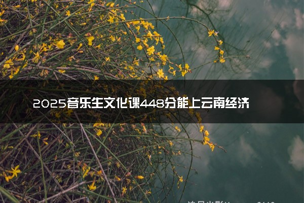 2025音乐生文化课448分能上云南经济管理学院吗