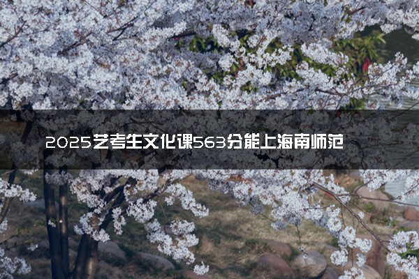 2025艺考生文化课563分能上海南师范大学吗