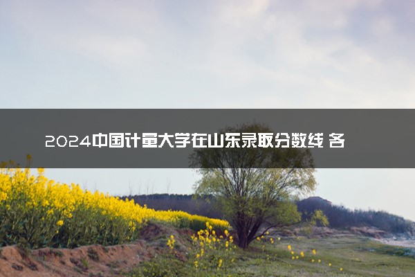 2024中国计量大学在山东录取分数线 各专业分数及位次