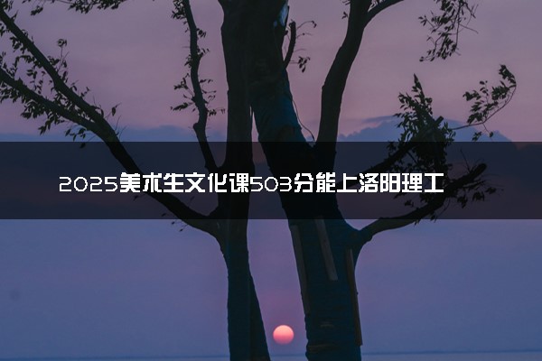 2025美术生文化课503分能上洛阳理工学院吗
