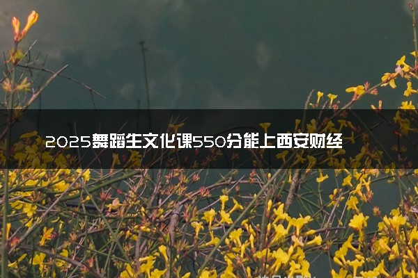 2025舞蹈生文化课550分能上西安财经大学吗