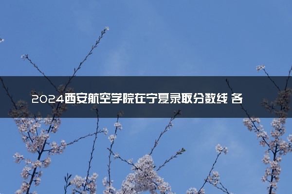 2024西安航空学院在宁夏录取分数线 各专业分数及位次