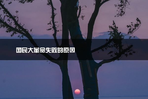 国民大革命失败的原因