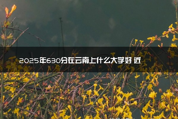 2025年630分在云南上什么大学好 近三年录取分数线是多少