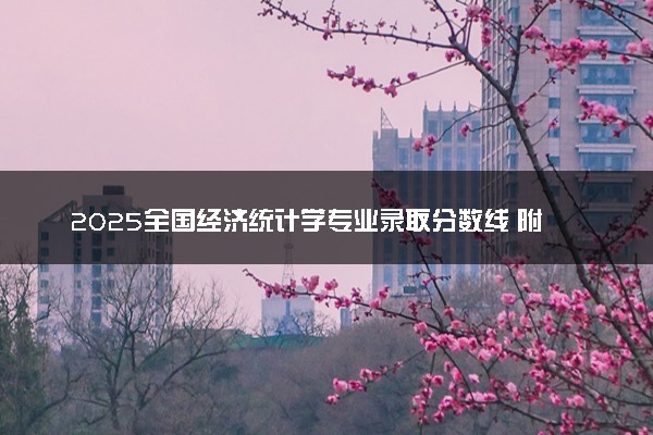2025全国经济统计学专业录取分数线 附最好的大学排名