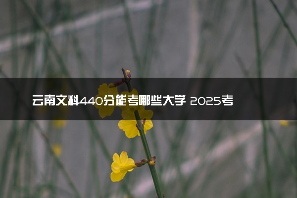 云南文科440分能考哪些大学 2025考生稳上的大学名单