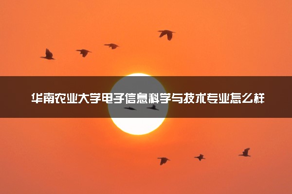华南农业大学电子信息科学与技术专业怎么样 录取分数线多少