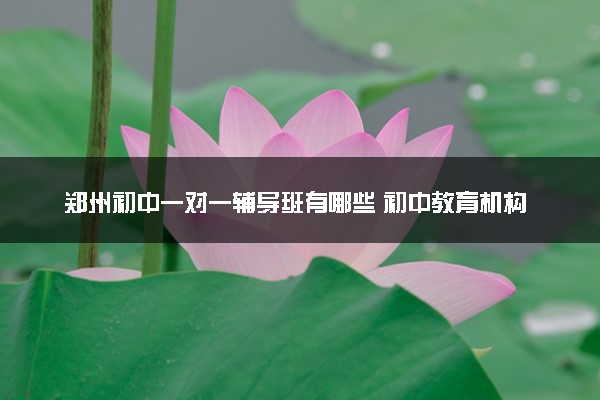 郑州初中一对一辅导班有哪些 初中教育机构排名
