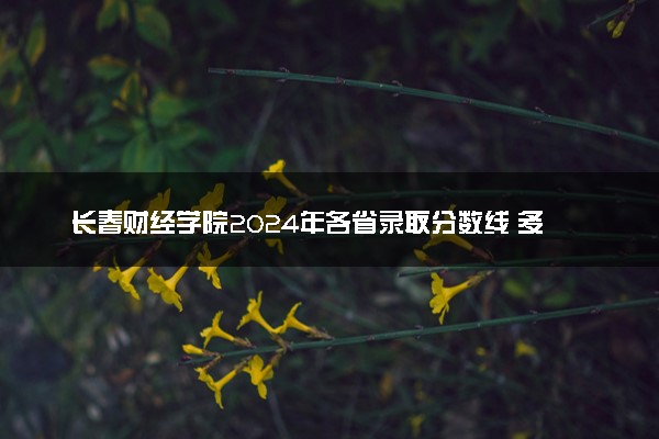 长春财经学院2024年各省录取分数线 多少分能考上