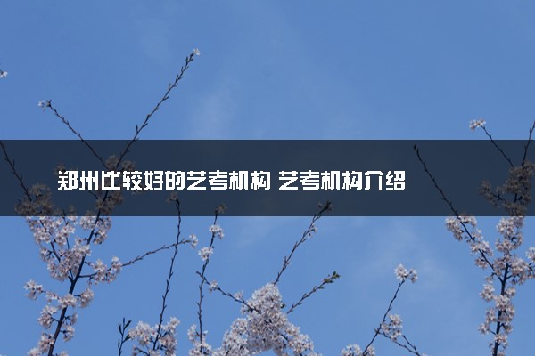 郑州比较好的艺考机构 艺考机构介绍