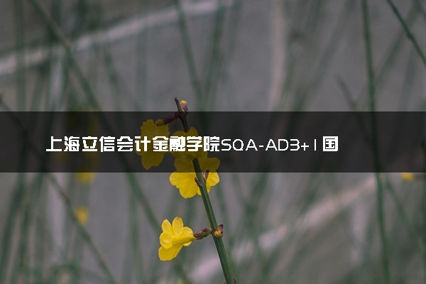 上海立信会计金融学院SQA-AD3+1国际本科专业及学费多少