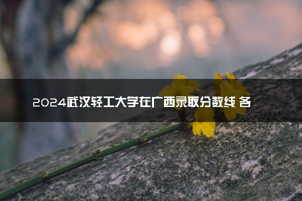 2024武汉轻工大学在广西录取分数线 各专业分数及位次