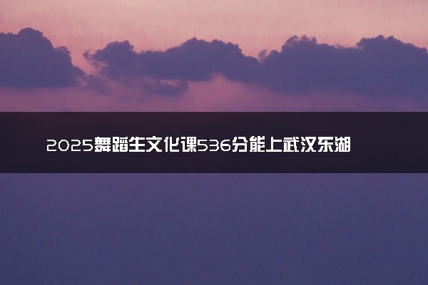 2025舞蹈生文化课536分能上武汉东湖学院吗