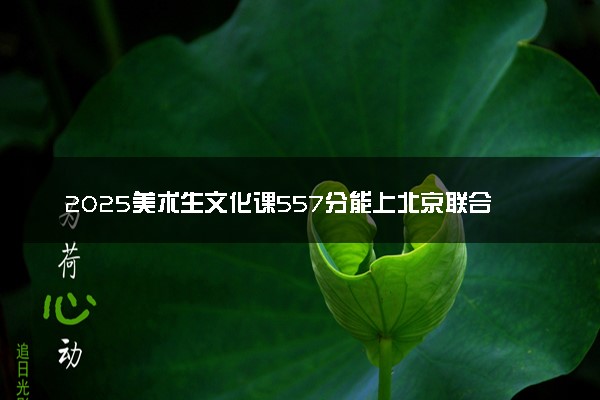 2025美术生文化课557分能上北京联合大学吗