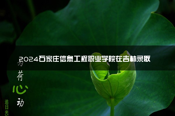 2024石家庄信息工程职业学院在吉林录取分数线 各专业分数及位次