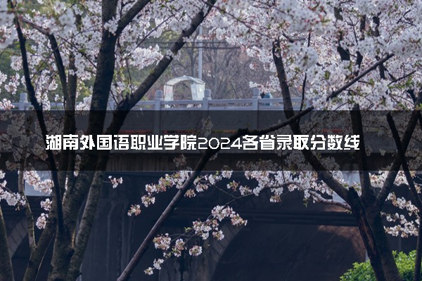 湖南外国语职业学院2024各省录取分数线及最低位次是多少