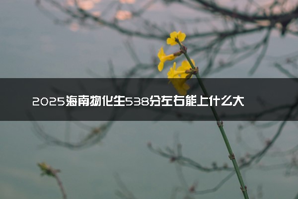 2025海南物化生538分左右能上什么大学 可以报考的院校名单