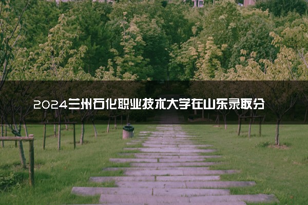 2024兰州石化职业技术大学在山东录取分数线 各专业分数及位次