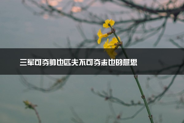 三军可夺帅也匹夫不可夺志也的意思