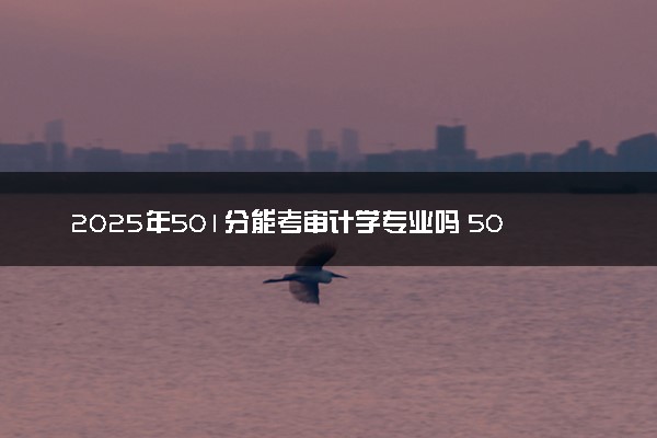 2025年501分能考审计学专业吗 501分审计学专业大学推荐