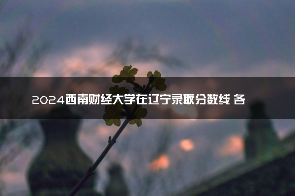 2024西南财经大学在辽宁录取分数线 各专业分数及位次
