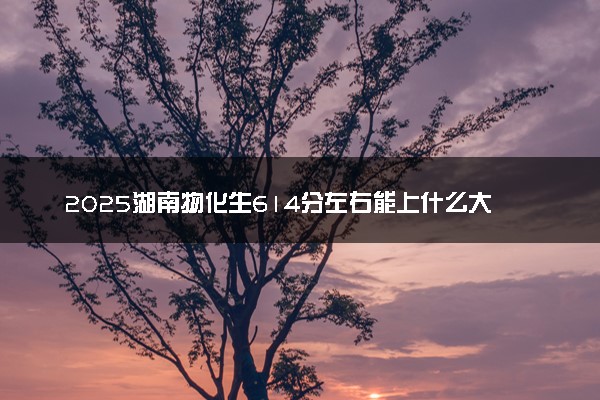 2025湖南物化生614分左右能上什么大学 可以报考的院校名单