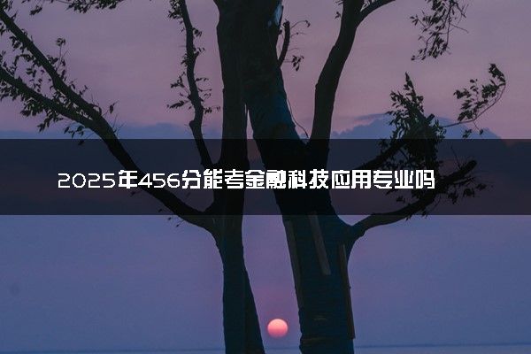 2025年456分能考金融科技应用专业吗 456分金融科技应用专业大学推荐