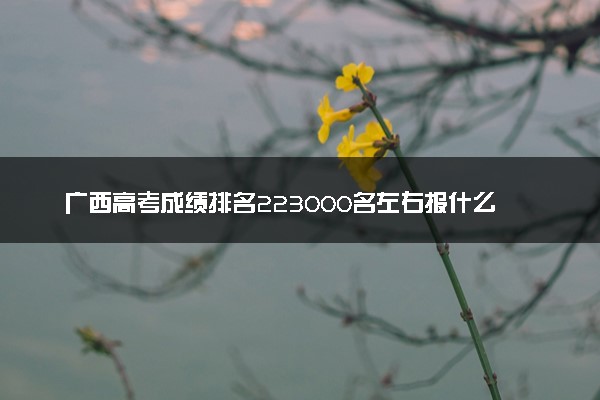 广西高考成绩排名223000名左右报什么大学好（2025年参考）