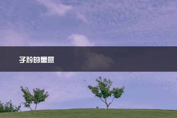 子衿的寓意