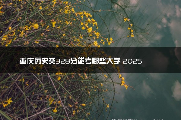 重庆历史类328分能考哪些大学 2025考生稳上的大学名单