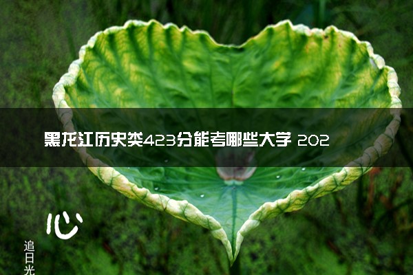 黑龙江历史类423分能考哪些大学 2025考生稳上的大学名单