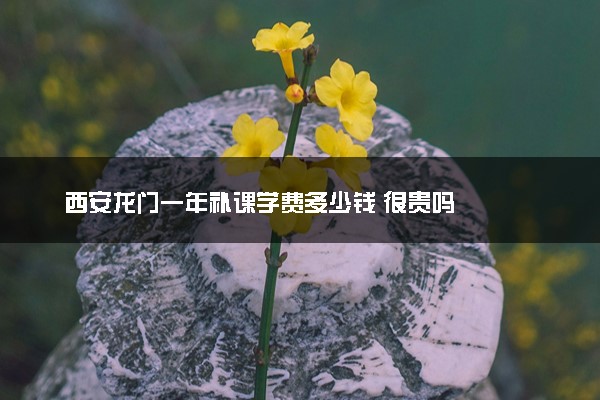 西安龙门一年补课学费多少钱 很贵吗