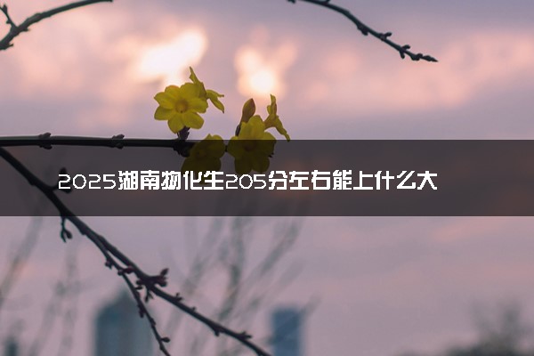 2025湖南物化生205分左右能上什么大学 可以报考的院校名单