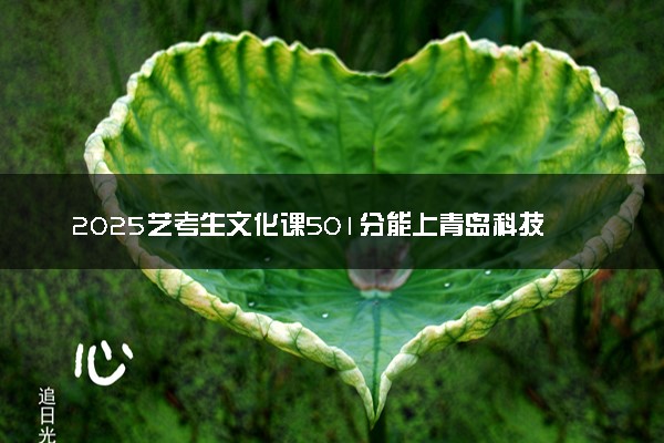 2025艺考生文化课501分能上青岛科技大学吗