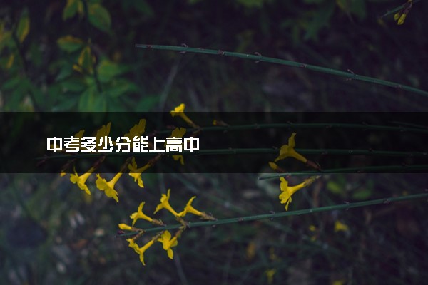 中考多少分能上高中