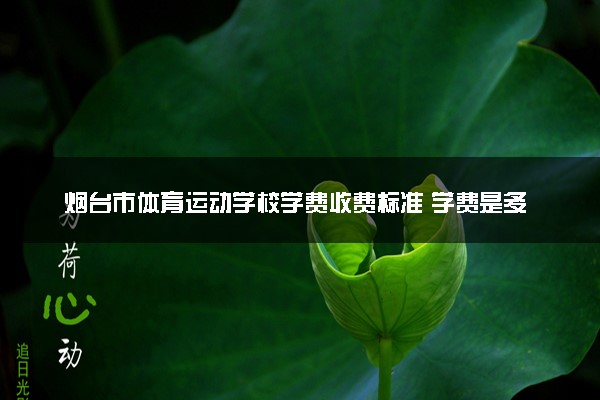 烟台市体育运动学校学费收费标准 学费是多少