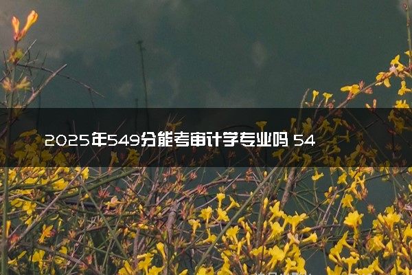 2025年549分能考审计学专业吗 549分审计学专业大学推荐