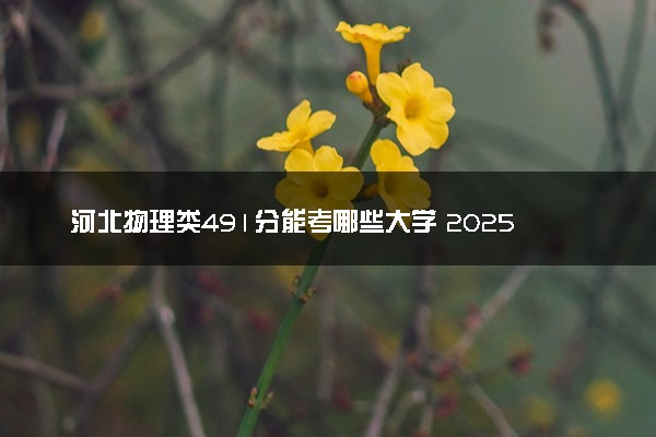 河北物理类491分能考哪些大学 2025考生稳上的大学名单