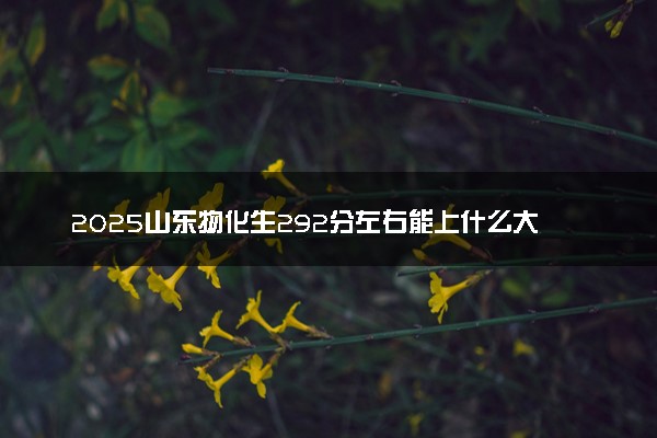2025山东物化生292分左右能上什么大学 可以报考的院校名单