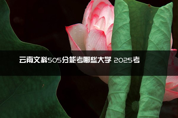 云南文科505分能考哪些大学 2025考生稳上的大学名单